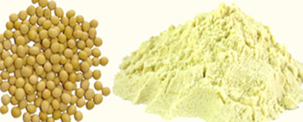 Soybeans - White hilum - USA PRODUCTS CORP